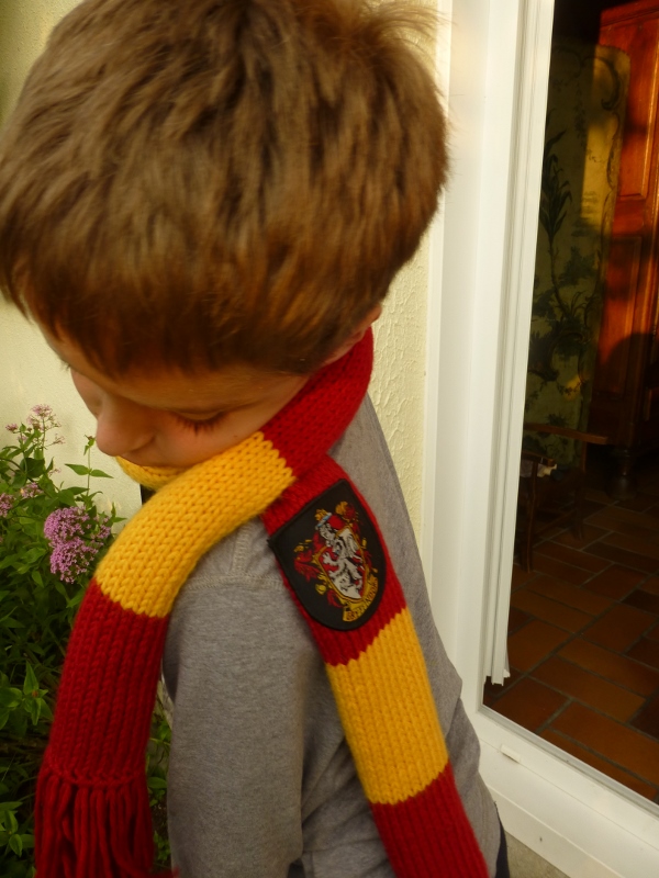 comment tricoter une echarpe harry potter