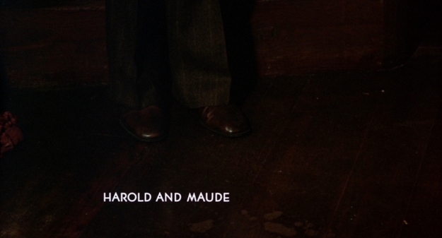 Harold et Maude - générique