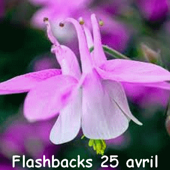 Flashbacks 25 avril