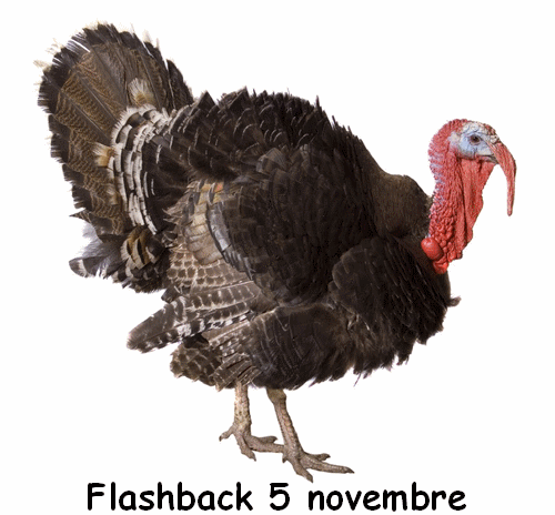 flashback 5 novembre