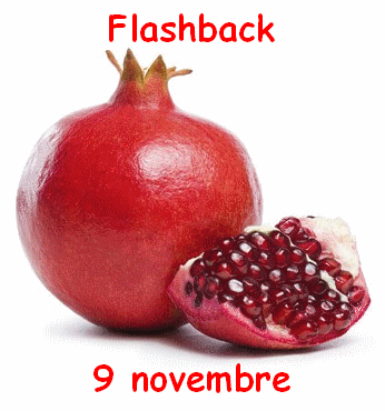 flashback 9 novembre