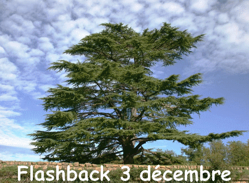 flashback 3 decembre