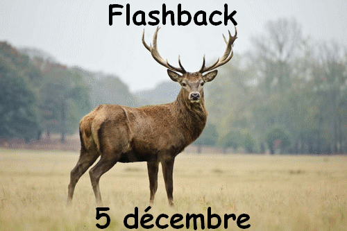flashback 5 decembre
