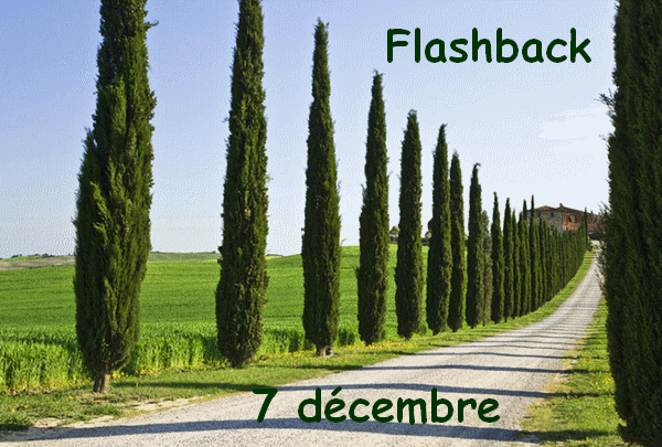 flashback 7 decembre