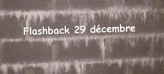 flashback 29 decembre