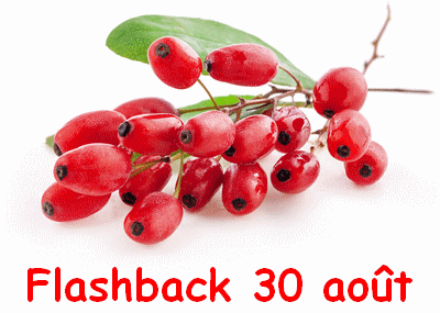 flashback 30 aout