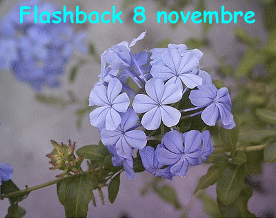 flashback 8 novembre