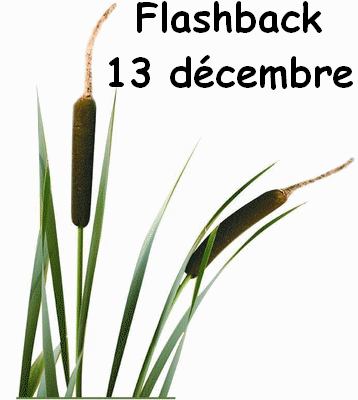 flashback 13 decembre