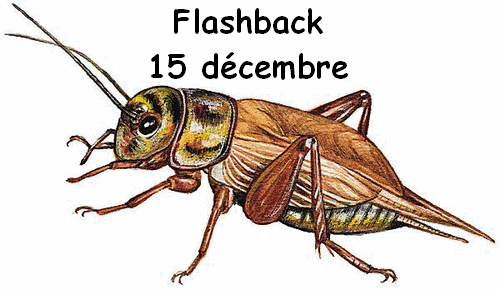 flashback 15 decembre