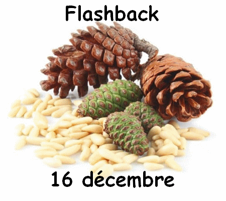 flashback 16 decembre