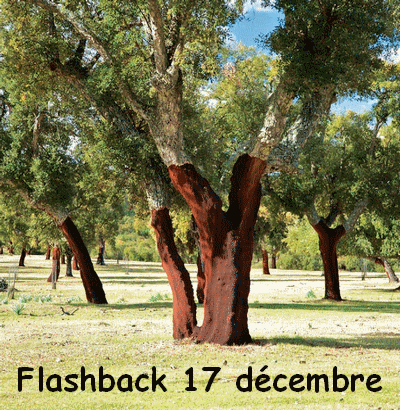 flashback 17 decembre