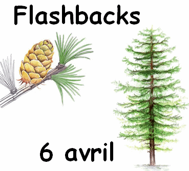 Flashbacks 6 avril