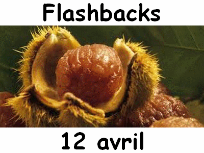 Flashbacks 12 avril