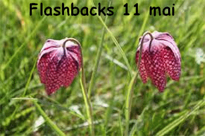 Flashbacks 11 mai