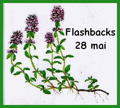 Flashbacks 28 mai