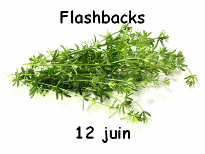 Flashbacks 12 juin