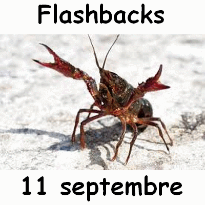 Flashbacks 11 septembre