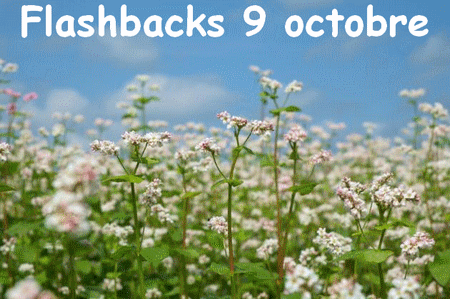 Flashbacks 9 octobre