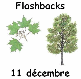 Flashbacks 11 décembre