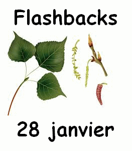 Flashbacks 28 janvier