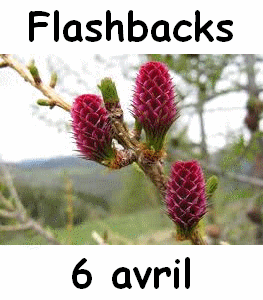 Flashbacks 6 avril