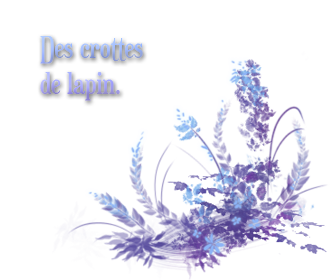 Miroir ○ Exxus Crottes-lapin