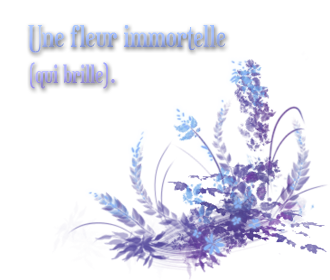 lumos — Onyx Fleur