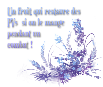 Aventures - Cendres + Libre Fruit-PVs